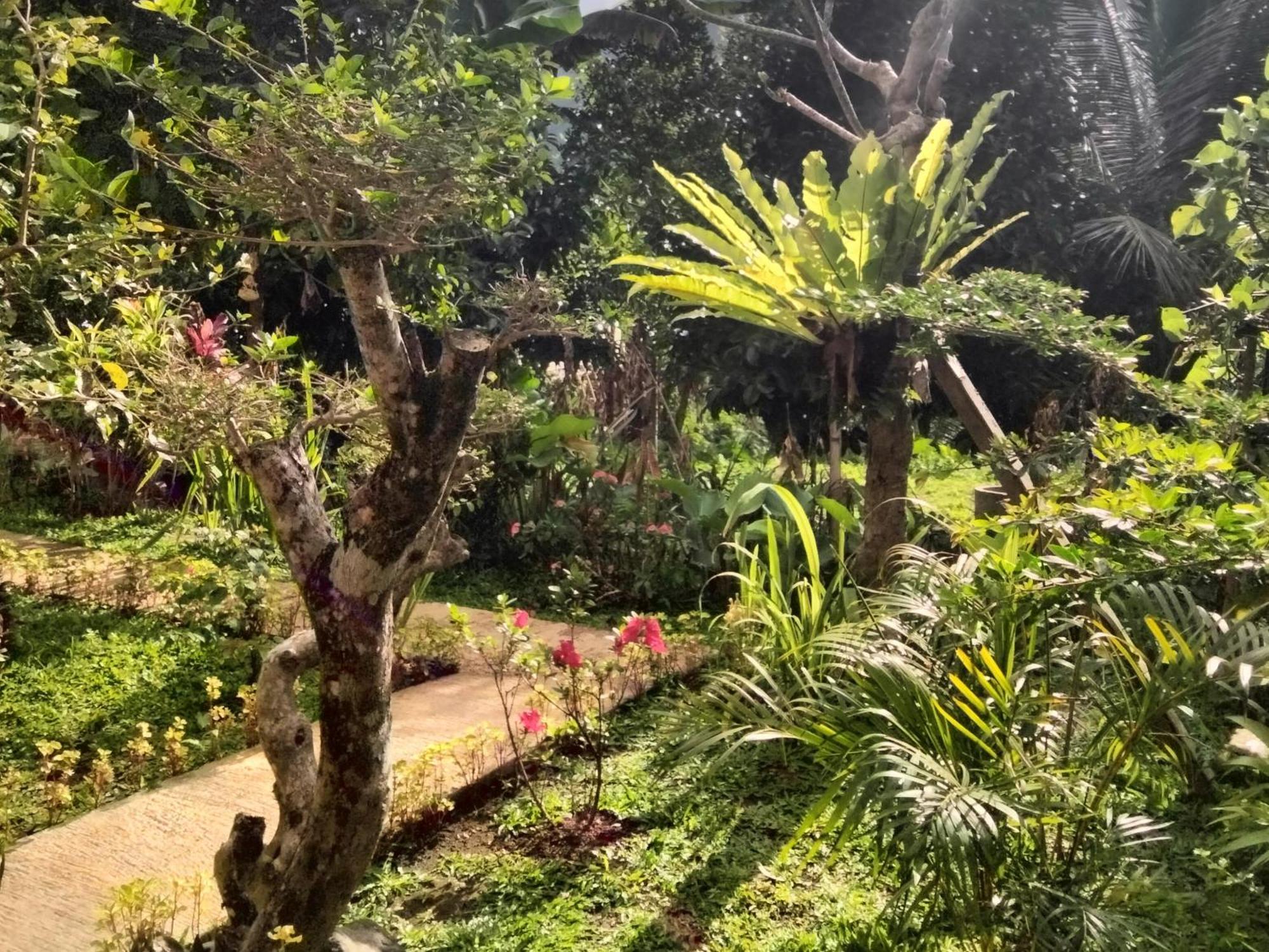 Buntera Homestay Sidemen 시데멘 외부 사진